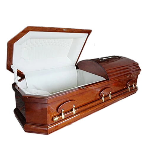 29 29